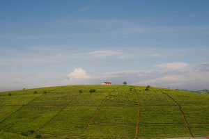 career change after 50 over the hill metaphor